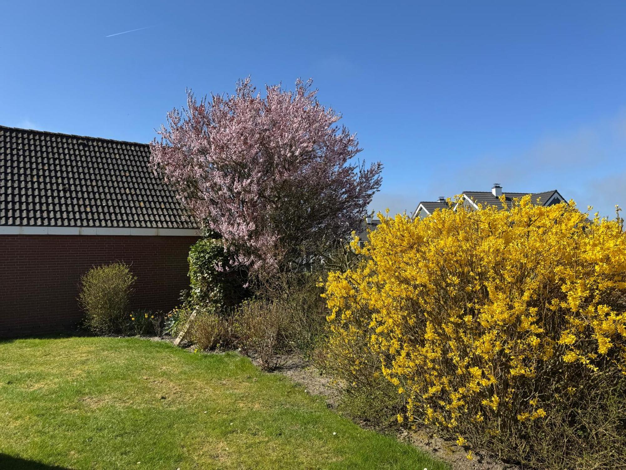 Haus Nordstrand Busum Ruang foto