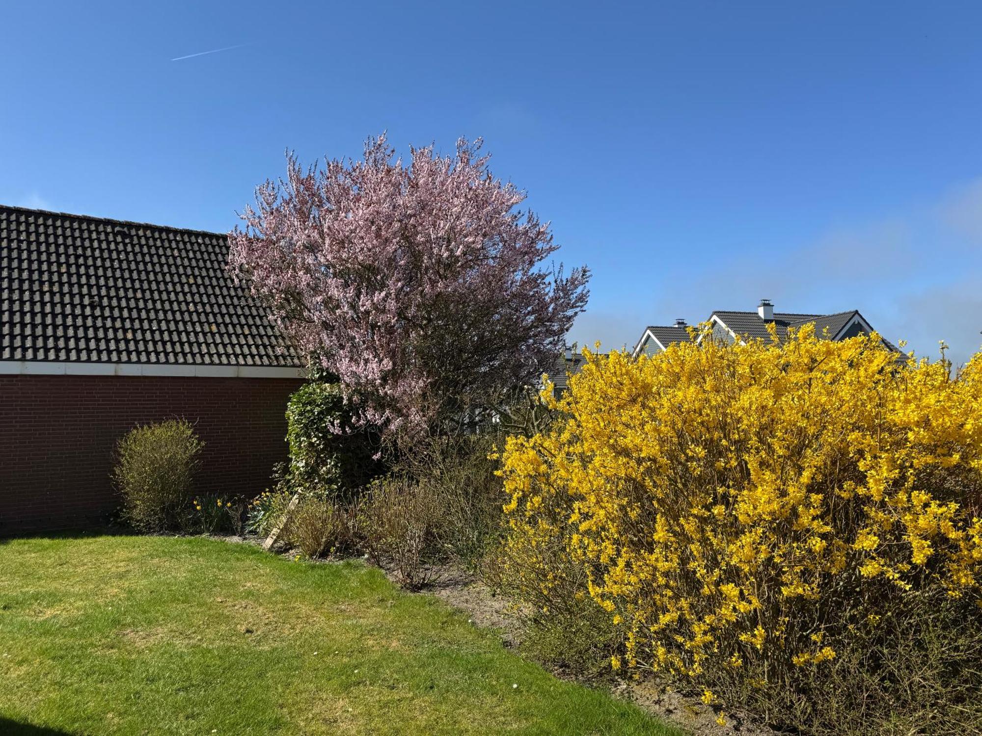 Haus Nordstrand Busum Bagian luar foto
